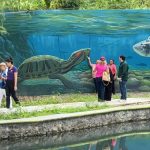 Cumpliendo sueños con turismo social: Sectur