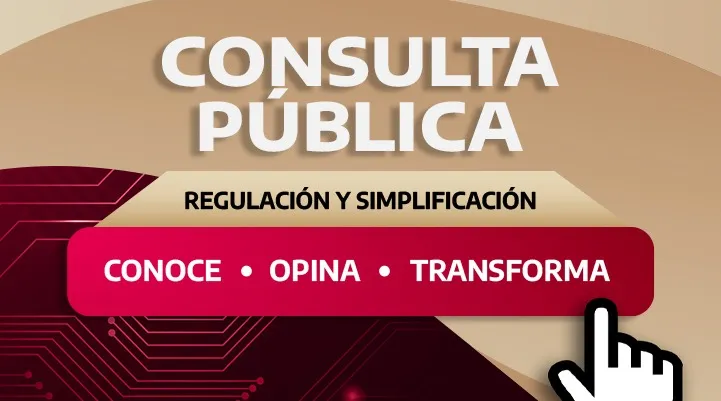 Consulta Pública